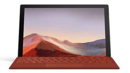 南部清洁和维护 Surface
